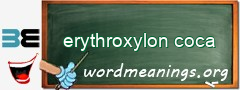 WordMeaning blackboard for erythroxylon coca
